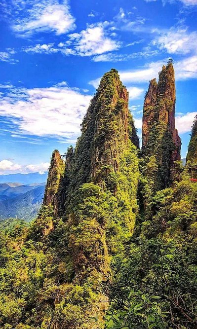 湘南荒山野岭火到韩国！本地人都少去，韩媒却眼红