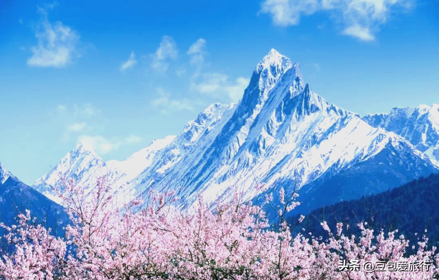 西藏林芝深度游：邂逅雪山桃花与森林的浪漫