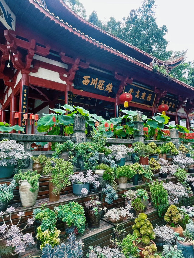 强烈推荐成都1h徒步好去处！亲子遛娃超合适，人少景美还免费