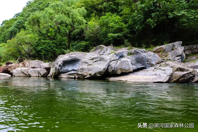 秋意初染，黑河美景正当时！一键开启赏秋之旅~