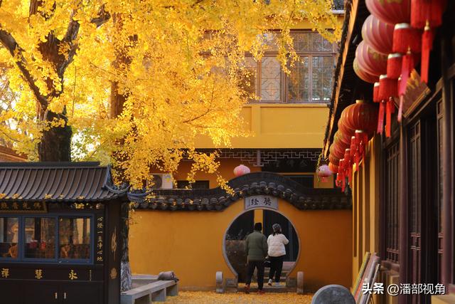 苏州石壁永慧寺，冬日金灿灿的世界，这里的古银杏和寺庙完美组合
