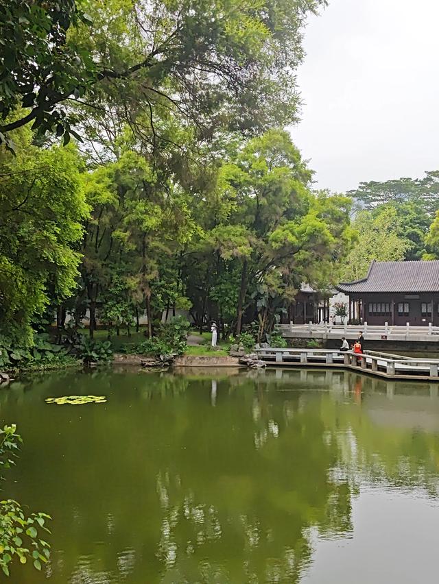 深圳最容易被忽略的高颜值公园,丛林秘境随处都是风景大片