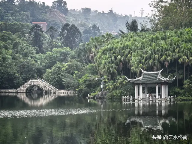 一个五A级植物园，到底藏着哪些值得看的地方，这是最实在的攻略