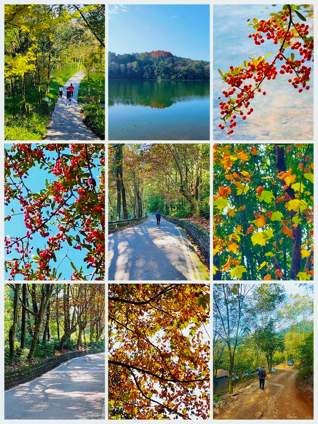 成都周边1h，崇州吃喝玩乐超实用攻略，人均50元吃到扶墙走!