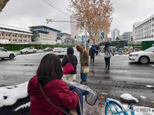 每日一景|大寒雪落金陵 明故宫梧桐披银 市民漫步享冬日诗意