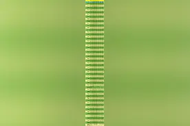 四川地区所有本科高校最低投档分数线以及位次！2025年择校参考图片