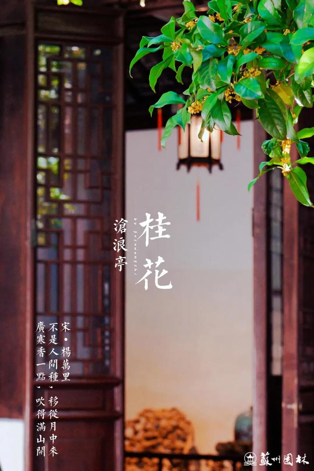 桂香满城！苏州桂花赏花地图来了！