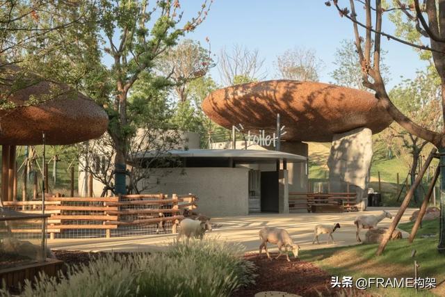 万社设计打造麓客岛动物农场，以设计与自然共谱城市田园牧歌