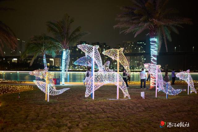 海豚湾亮灯闪耀港城