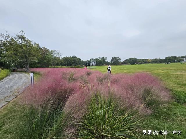 宜人的秋色，漂亮的秋景，温暖的秋风，一副秋的模样一派秋的景致