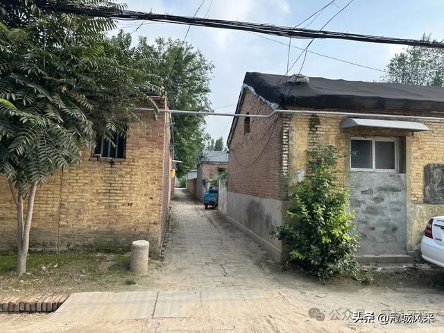 冠县乡韵·辛集镇崔刘八寨