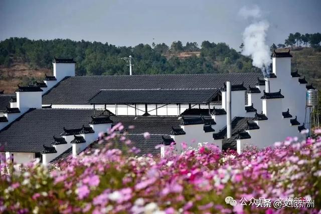 国家3A+1！新洲这个景区“糖分”已超标，有点好嗑，速来！