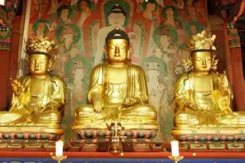 “凡所有相，皆是虚妄”，那何必再拜佛？信佛信的不是神，是因果图片