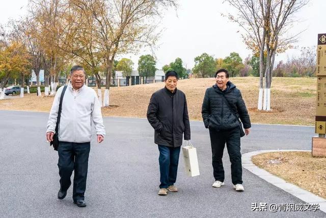 盘龙悠远银杏黄 水中学友情谊长