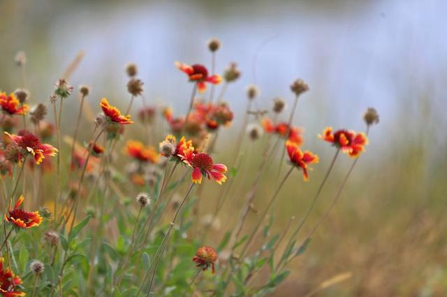 长春北湖公园：湖光秋色两相宜