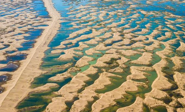 美媒：中国不可怕	，可怕的是中国只用10万头猪，就解决了治沙难题