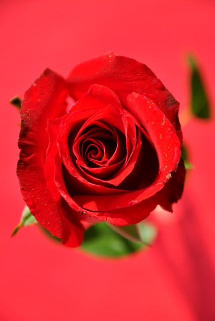 对老公寒心后，女人这么做，不离也能活得漂亮