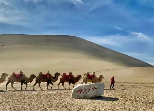 文旅探秘 | 谁懂啊！敦煌的沙海藏珍，才是丝路顶流