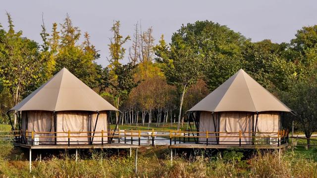 谁说初冬只有萧瑟?来太白湖新区解锁绚烂生机打卡地