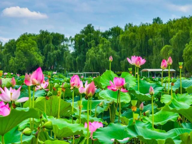 免费！西安地铁直达的6大绝美湖泊