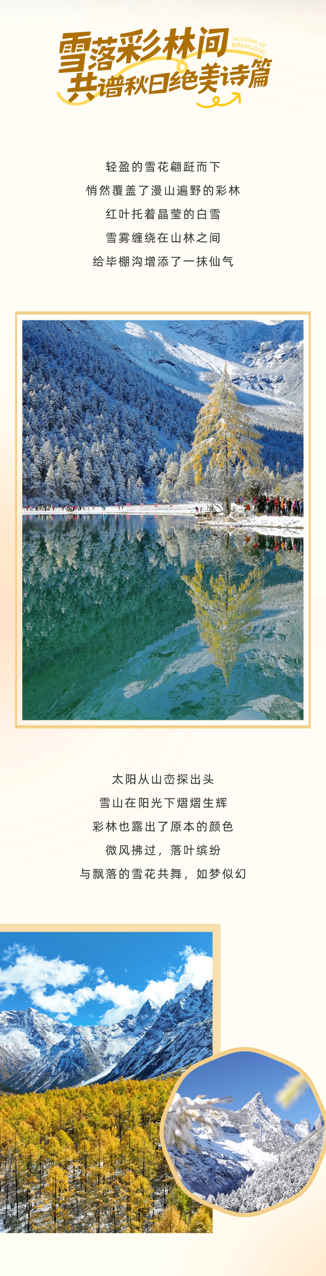 半山彩林半山雪！毕棚沟已迎来“封神”时刻！