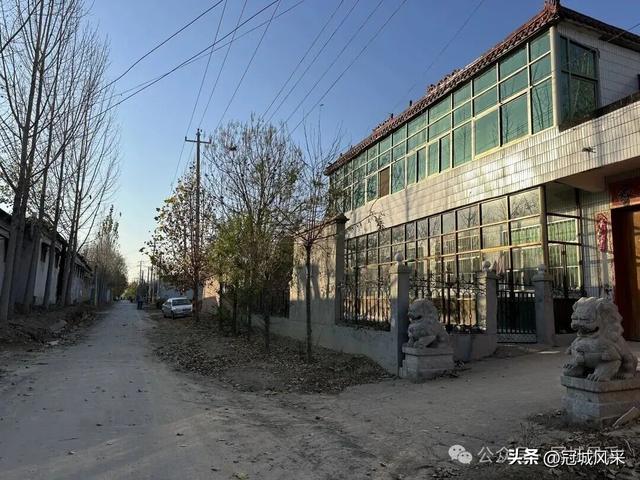 冠县乡韵·贾镇荆楼村