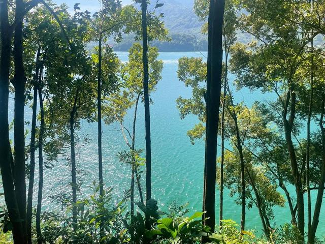 广州和从化交界处有个小镇，默默无闻，却藏着全国独一无二的景观