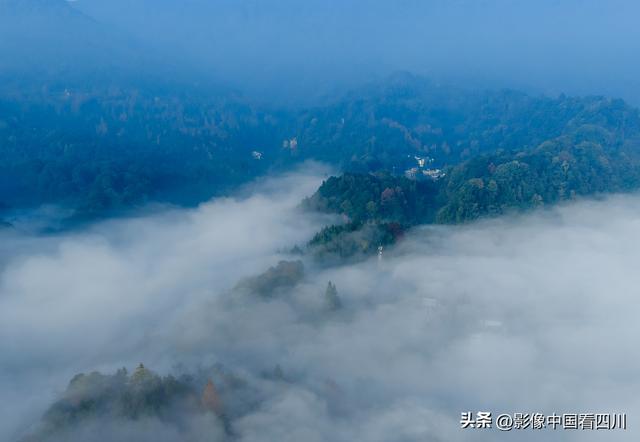 四川雅安：碧峰峡风光旖旎引客来