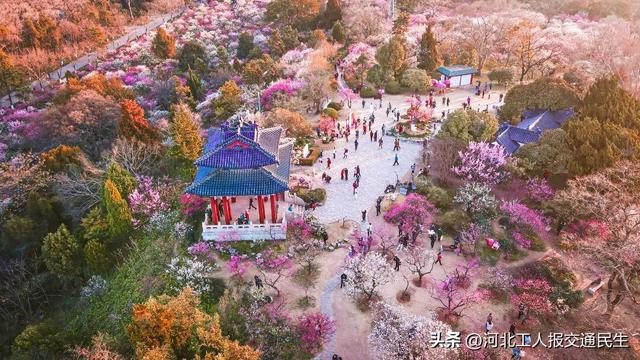 3月特价机票来啦！石家庄出发直飞低至200元！