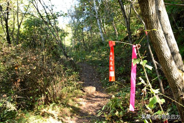延庆应梦寺（五）：山巅极目收千嶂，林海听风涤尘心
