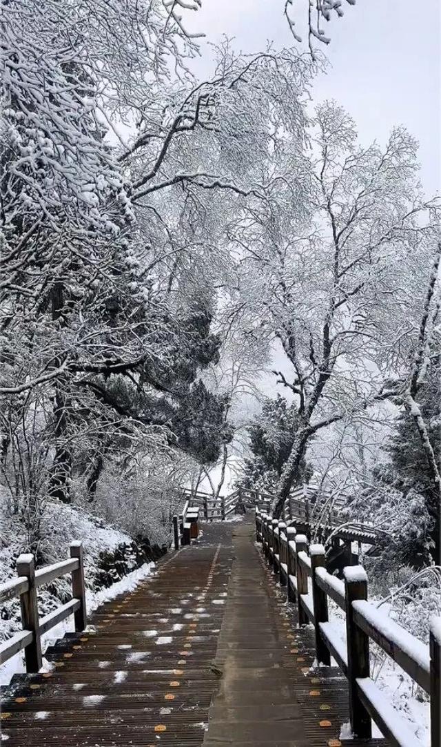 九寨沟、黄龙下雪了！四川开启“速冻模式”