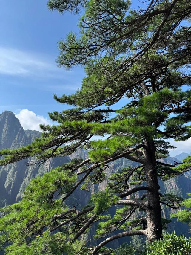徒步三山五岳：安徽黄山！