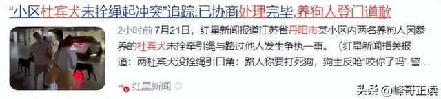 丹阳杜宾犬最新后续：网友不满处理依旧炸锅，养狗人终于登门道歉