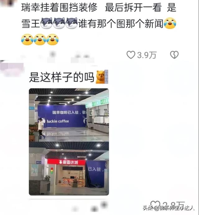 笑不活了！ 瑞幸躲哪蜜雪跟到哪，雪王：我不懂选址但我朋友懂！