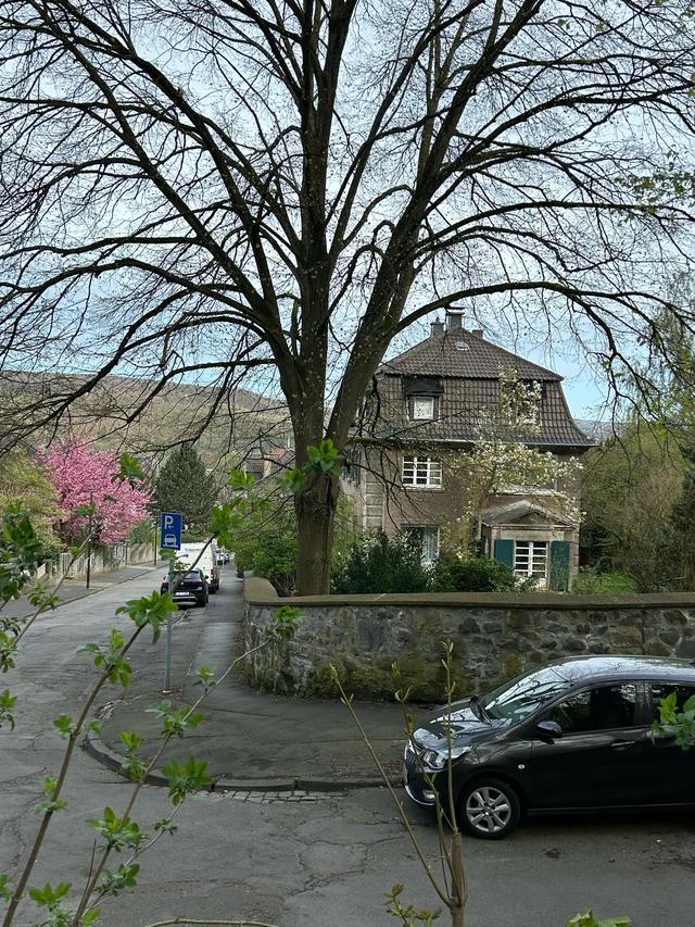 《 再见，德国 》