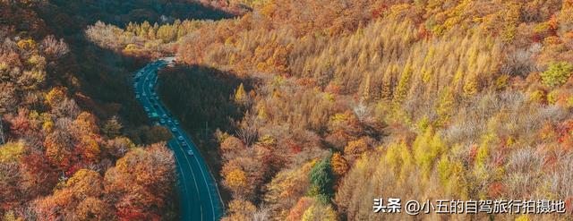 本溪十月赏枫实测攻略！“中国枫叶之都” 交通 + 景点 + 环线不踩坑