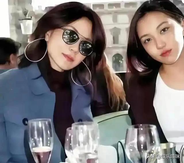 李亚鹏没想到，自己辛苦养大的李嫣	，如今19岁给王菲疯狂长脸