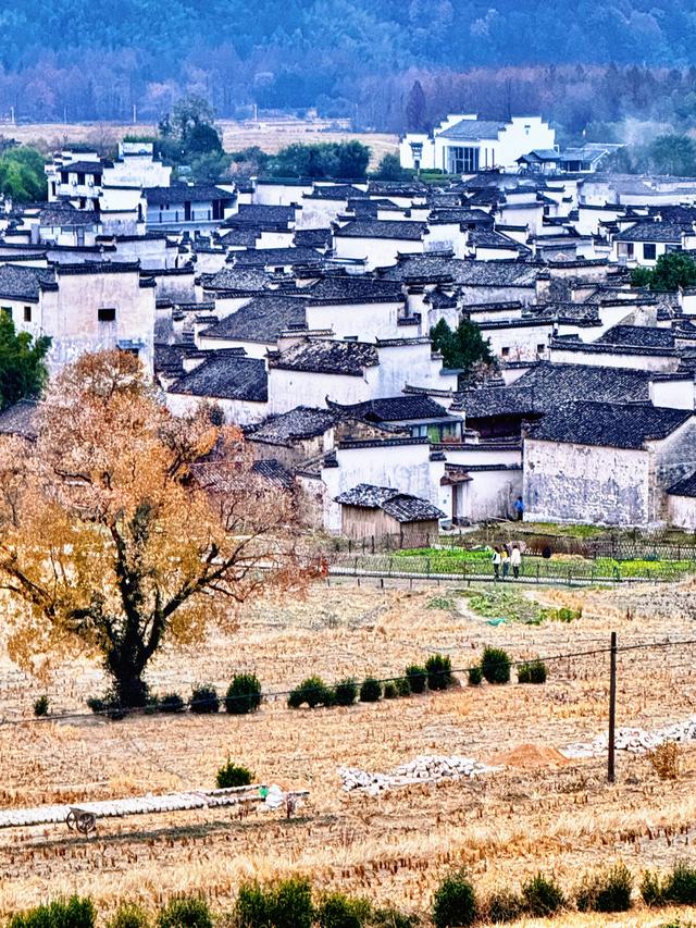 等待日出（黟县宏村镇卢村与奇墅湖）