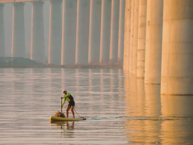 网红大桥下：三门峡的周末热度藏着新答案