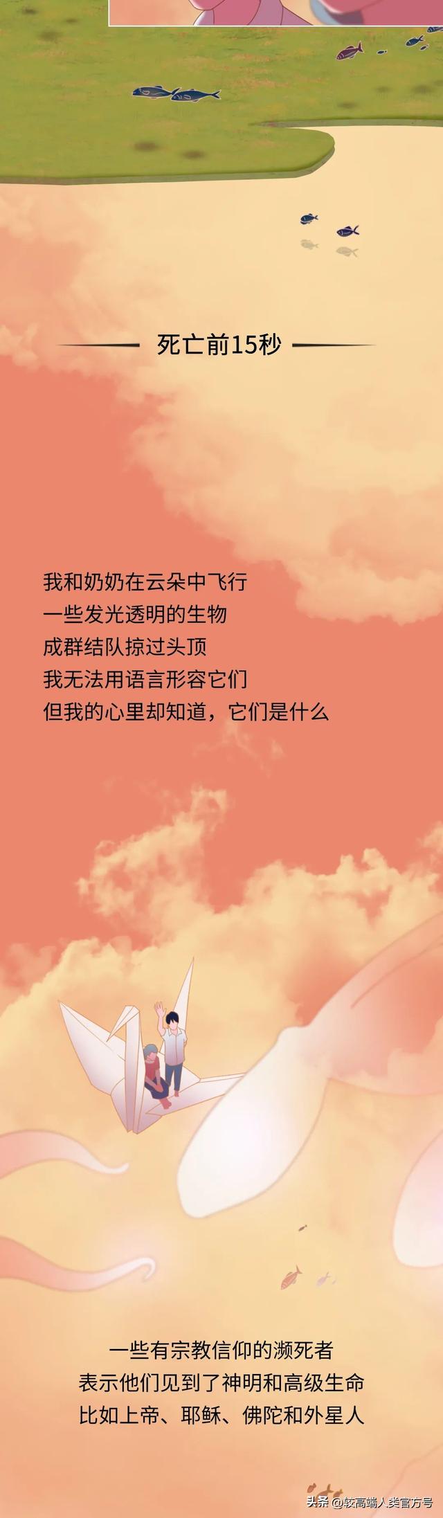 死亡前的30秒，人会看见什么？