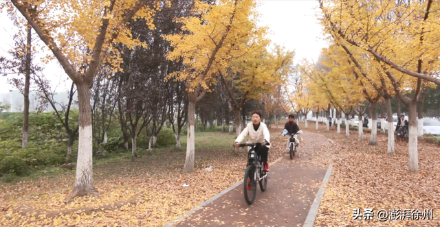 砀山：初冬的迈瑞大道美翻了！