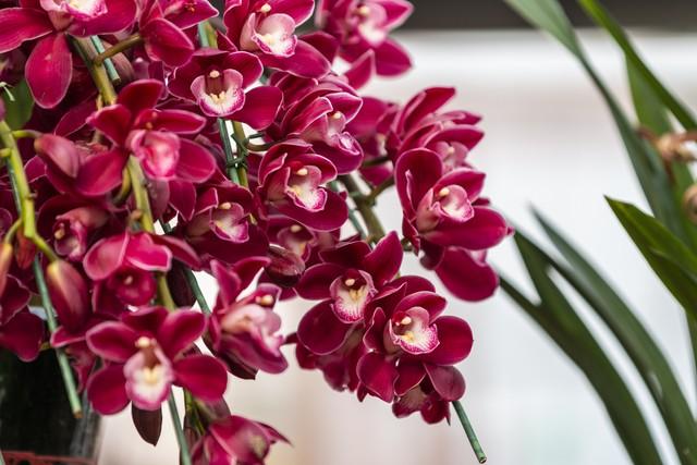 两性关系：为什么女人过了50岁，比年轻时更渴望这三种陪伴？