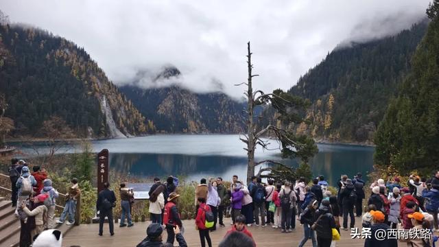 动车出行有多火?这个景区打破40年客流量纪录!