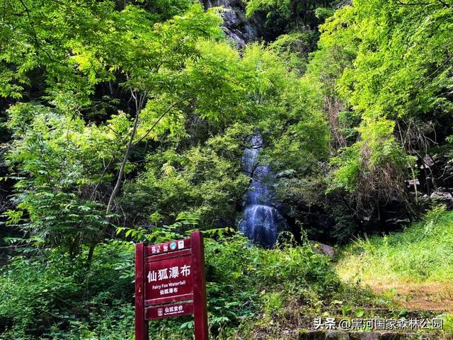 夏季避暑有“凉”方,黑河山水邀你共赴清凉盛宴!