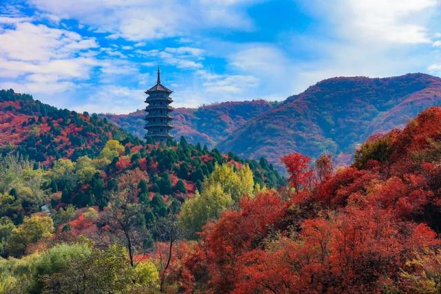 魅力济南‖深秋赴约红叶谷，万山红遍醉金秋