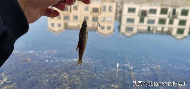 鱼荒期也能钓到手软！14 个野钓技巧，新手照着做准没错