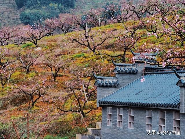 南部县寺外桃源景区：景村-乡镇-片区联动助力南西盐三县文旅发展