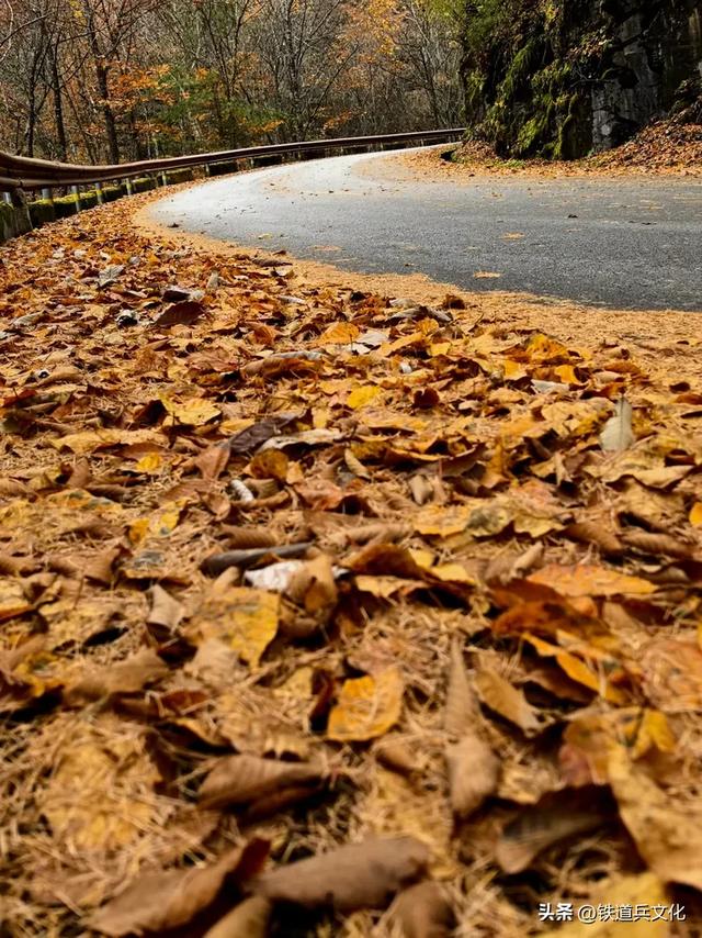 车过神农架【原创】作者：原铁十师陶玉和