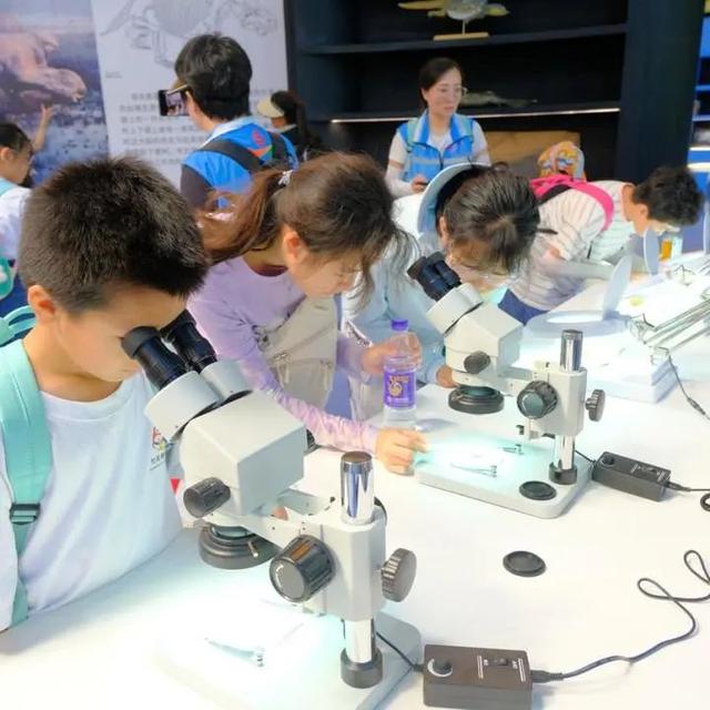 爸爸妈妈，今天社区带我们去挖恐龙化石啦！不信？有图为证！