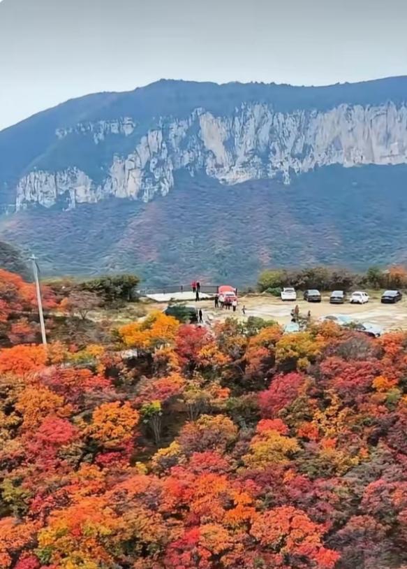 光雾山何时小众？